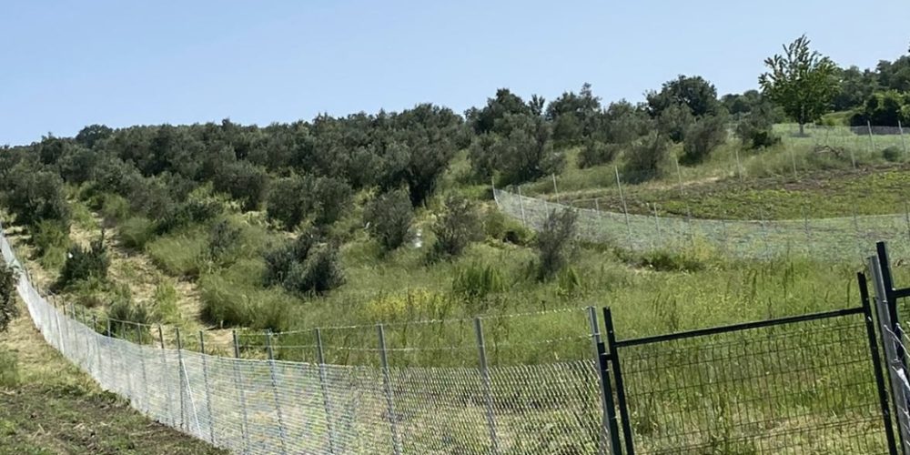 Boru Direkli Tel Örgü