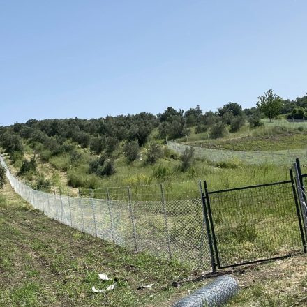 Boru Direkli Tel Örgü