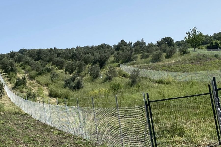 Boru Direkli Tel Örgü